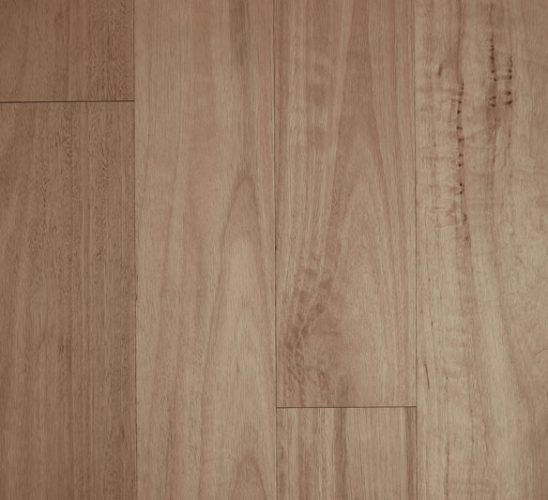 Blackbutt Brushed Matte 0.6mm Engineered Timber