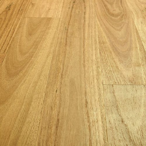 Blackbutt Preference Select