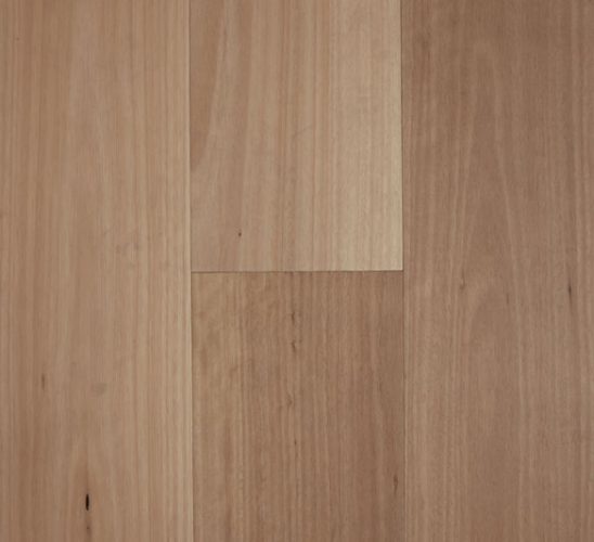 Blackbutt 10% Smooth Matte 3mm Engineered Timber