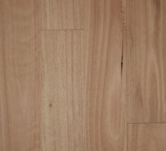 Blackbutt Smooth S-Gloss 0.6mm Engineered Timber
