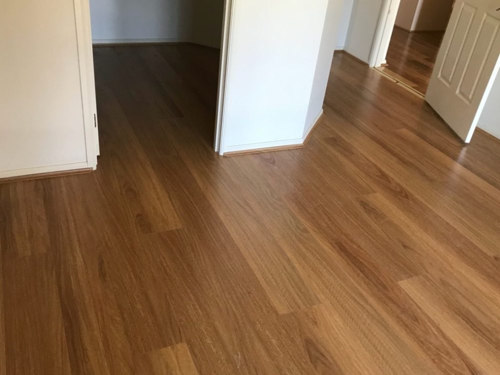 Spotted Gum