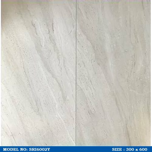 SRI6002Y