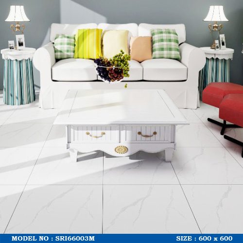 SRI66003M EDIT WEB