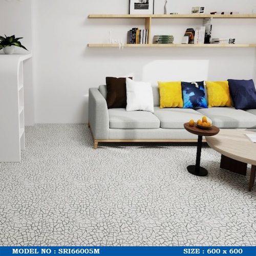 SRI66005M EDIT WEB