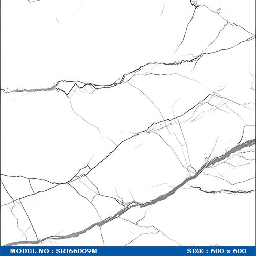 SRI66009M WEB
