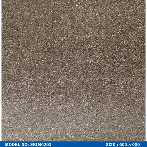 SRIM6203