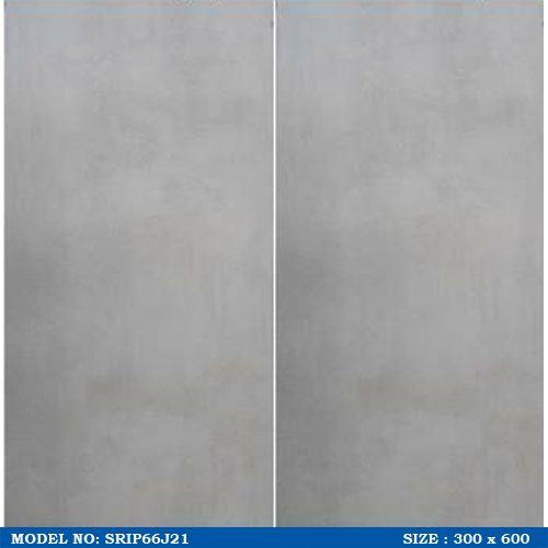 SRIP66J21
