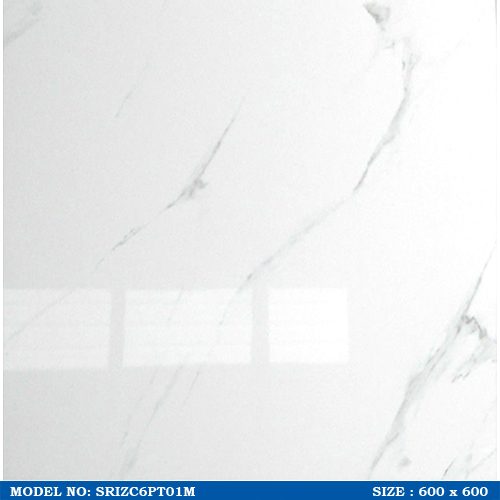SRIZC6PT01M