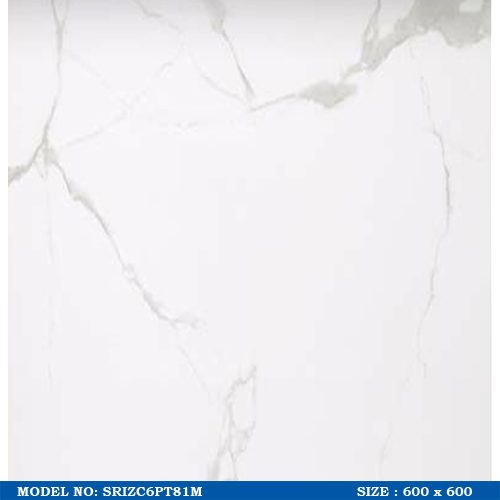 SRIZC6PT81M