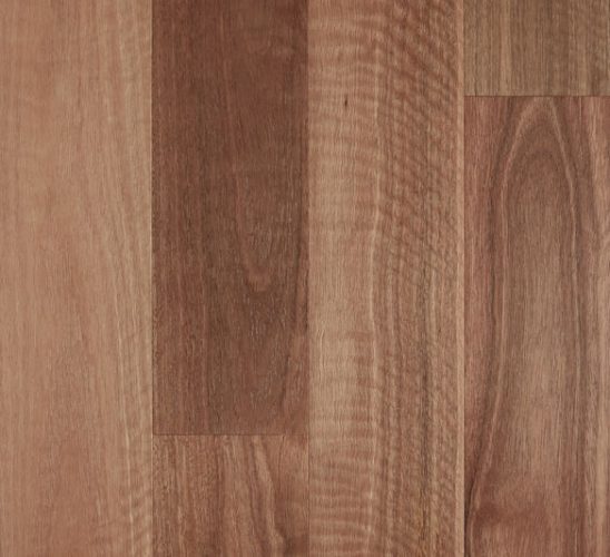 Spotted Gum Brushed Matte 0.6mm Engineered Timber