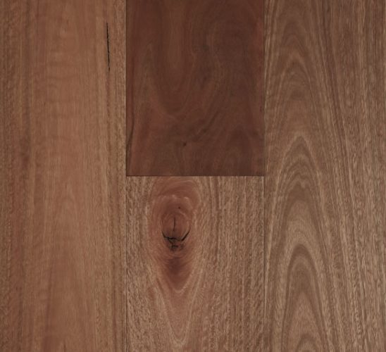 Spotted Gum 10% Smooth Matte 3mm Engineered Timber